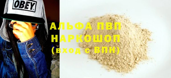 a pvp Пересвет