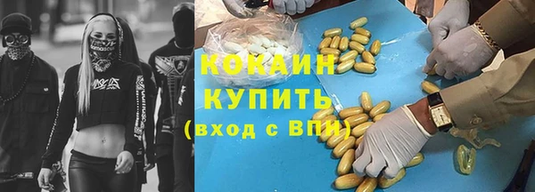 a pvp Пересвет